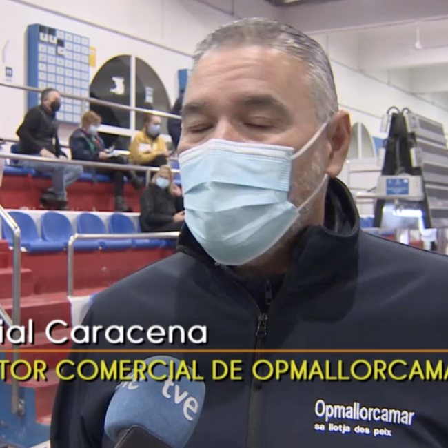 Pedro Mercant y OpMallorcamar, intervenciones en televisión