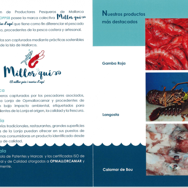 Millorquín, 365 días para reivindicar los pescados y mariscos de Mallorca