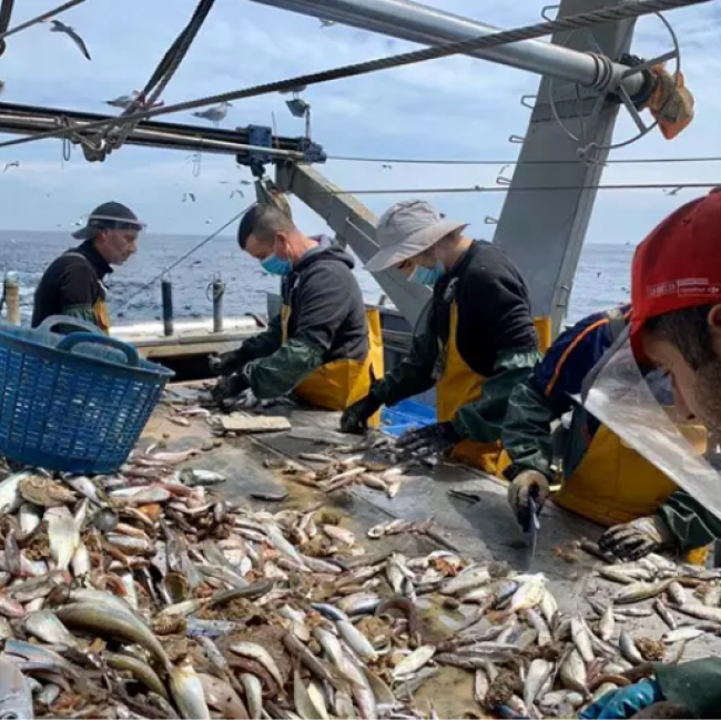 La flota espanyola rebutja les mesures de reducció de l’esforç pesquer al Mediterrani per a 2021