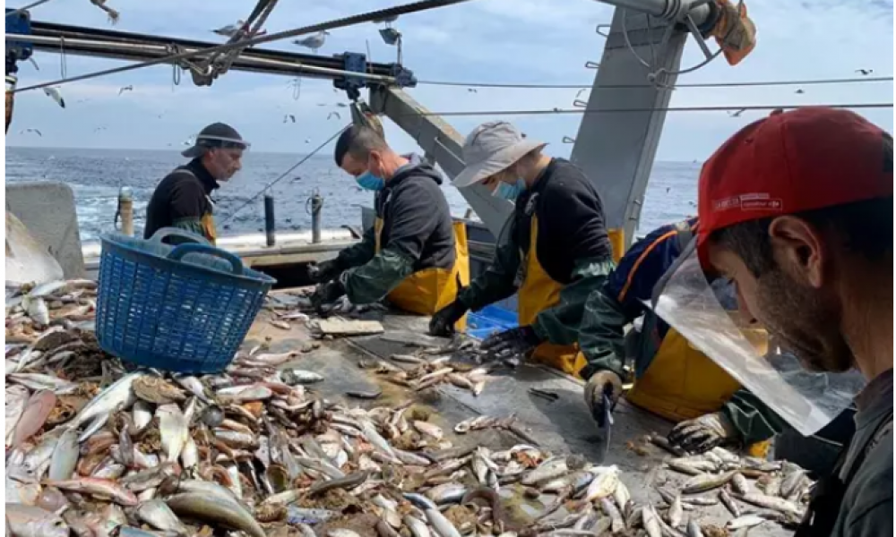 La flota española rechaza las medidas de reducción del esfuerzo pesquero en el Mediterráneo para 2021