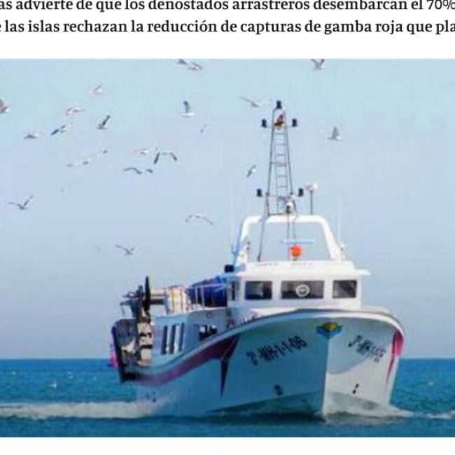 Los pescadores de Baleares defienden la técnica del arrastre para garantizar el producto fresco