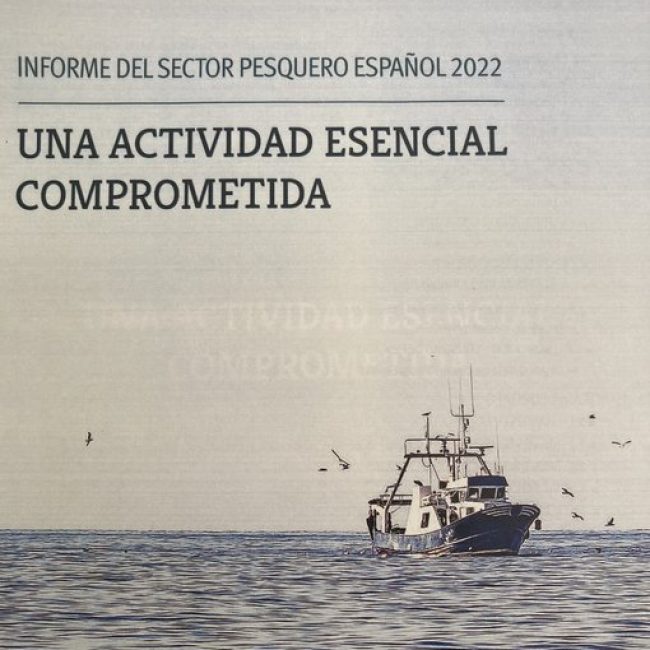 Publicat l’Informe sobre el Sector Pesquer Espanyol
