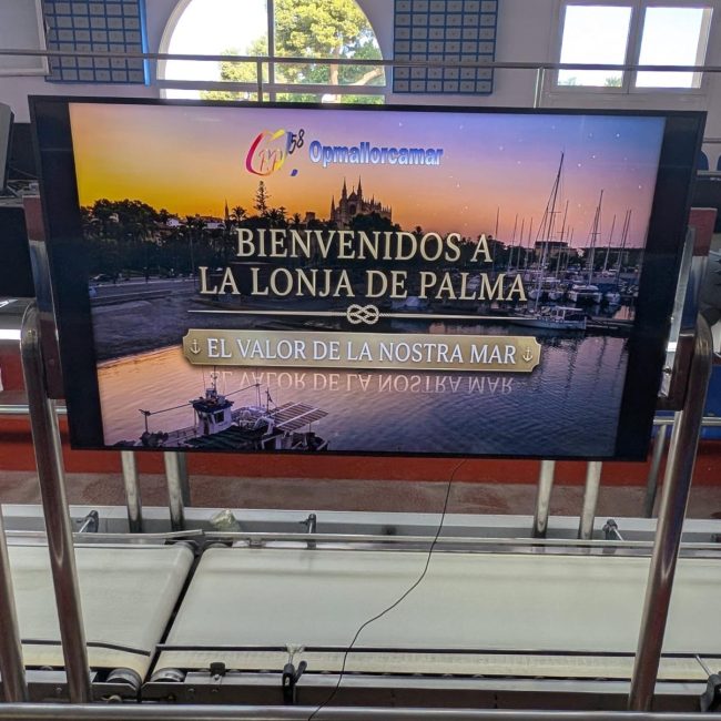 OPMallorcaMar abre la Lonja a la sociedad con «Veus de la Mar», un proyecto audiovisual protagonizado por los pescadores de Mallorca