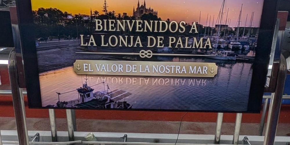 OPMallorcaMar abre la Lonja a la sociedad con «Veus de la Mar», un proyecto audiovisual protagonizado por los pescadores de Mallorca