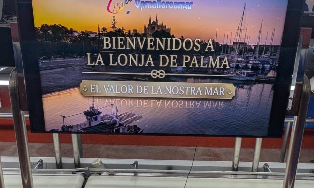 OPMallorcaMar obre la Llotja a la societat amb «Veus de la Mar», un projecte audiovisual protagonitzat pels pescadors de Mallorca